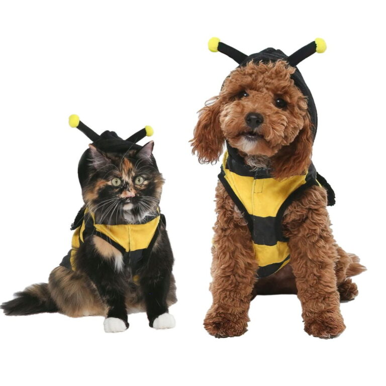 Vibrant-Life-Halloween-Dog-Costume-and-Cat-Costume-Bumble-Bee-Size-Large_c9fc6804-a98c-4164-ab5f-56969a73e3a1.774805019e126ed13260d48669c87fe3.jpeg